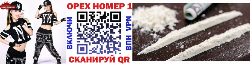 где продают наркотики  Жиздра  ссылка на мегу зеркало  Cocaine Fish Scale 