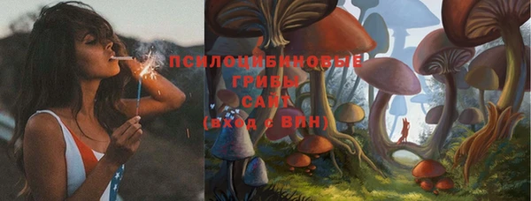 индика Алзамай