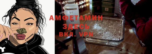 мет Алексин