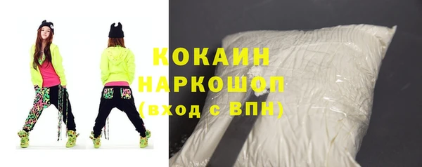 мет Алексин