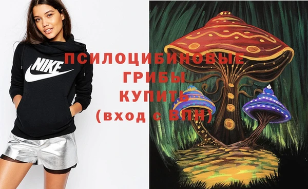 индика Алзамай