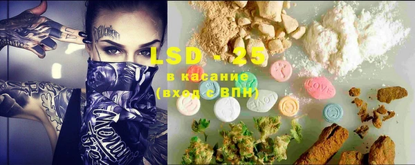 индика Алзамай