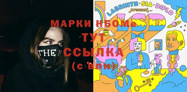 мет Алексин