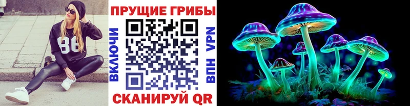 Псилоцибиновые грибы MAGIC MUSHROOMS  Жиздра 